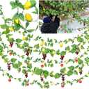 5 Pcs Sukkot Fruits Hanging Banner with 5 LED Lights Sukkot Decoration Sukkah Decorations Fruit Garland Indoor Outdoor Decor Party Supplies for Jewish Sukkot Holiday Supplies