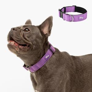 Dog Friendly Co. Tactical Dog Collar | Comfortable & Secure | Quick Release Clip Buckle and Heavy Duty D-Ring | Soft Padded Neoprene, Chafe Resistant, Night-Time Visibility | Purple, Size XS/XXS