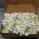 100 Pcs Faux White Hydrangea Artificial Flowers Bulk, Fake Silk Hydrangea Flowers Heads with Stems for Wedding Decorations Garden Party Baby Shower Porch Home Decor Table Centerpieces, White