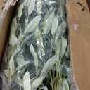 LYERSE 8ft Faux Olive Tree - Olive Trees Artificial Indoor with Large Olive Branches and Lifelike Olive - Artificial Olive Tree for Home Office House Living Room Decor