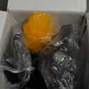 YONICOER Insulated Water Bottle 40oz, Triple Wall Vacuum Stainless Steel(Dishwasher Safe), Leak Proof & NonBPA, Flask Jug with Paracord Handle & Straw Spout Lids Sports Green