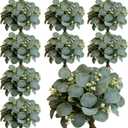 40 Pcs Faux Eucalyptus Leaves Stems Bulk Silver Dollar White Seed Artificial Greenery Stems Fake Sprays Branches for Wedding Table Centerpiece Bouquet Garland Floral Arrangement Home Decor