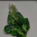 3Pcs Chinese Money Plant 14.5 in Artificial Lotus Leaf Fake Marsh Pennywort Plant Greenery Aesthetic House Plants for Home Decor Indoor Bathroom Table Shelf Desk Office Decor