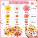 240 Pcs Fabric Daisy Flower Head for Crafts, 3 Size Faux Flower Graduation Cap Decoration Fall Outdoors Decor, Fake Daisy Heads Decor for Summer Garland Wedding DIY(Bright Colors)