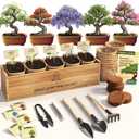 Planter's Choice Bonsai Tree Starter Kit - Unique Gifts for Women, Men - Christmas Gifts for Adults - Indoor Live House Plants - DIY Crafts for Adults Craft Kits - Hobby Gift for Gardening Lovers
