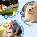 Nobleza Squeaky Dog Toys Interactive, 4 Pack Peanut Chew Ball for Pet Teeth Cleaning Puppy Squeaky Chew Toy, Durable for Medium Large Small Breeds Puppy Teething Chew Toy