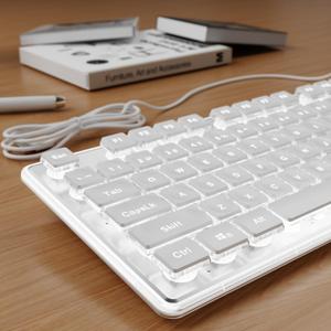 SEUNKWANG EWEADN GX710S Backlit Computer Keyboards, Wired USB Keyboard with White Backlit, Metal Panel, Plug and Play, Pudding Keycaps Full Size Quiet Computer Keyboard for Win/PC/Laptop-White