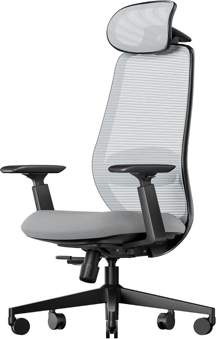 ProtoArc Ergonomic Office Chair EC200 High-Back Mesh Computer Chair with Lumbar Support, 3D Adjustable Headrest & Sliding Seat for 8+ Hour Comfort, Big & Tall Home Office Desk Chairs - Gray