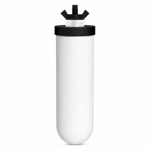 Purewell PF-4 Ceramic Purification Elements, Replacement Filters for ProOne and Berkey Filters, 1 Count