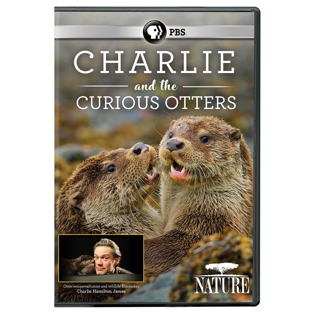 NATURE: Charlie and the Curious Otters DVD