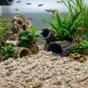 BESPORTBLE Fish Tank Filter Media Natural Crushed Coral for Freshwater Aquarium Reusable Coral Aquarium Substrate with Mesh Bag Ph Stabilizer and Pond Filter Media for Aquatic Pets