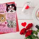 D24TIME Funny Valentines Day Cards Gifts for Him Her Boyfriend Girlfriend Husband Couple Valentines Anniversary Love Card Gift for Kids Family Friends Cat Lovers Birthday Greeting Cards with Envelopes