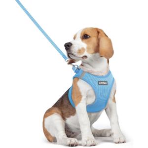 rabbitgoo Dog Harness Small Medium Sized and Leash Set, Step in Soft Light Puppy Vest, Breathable Mesh Pet Harness, Reflective for Safe Easy Walking, (Blue, L (chest: 18.2 - 20.5"))