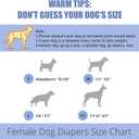 wegreeco Dog Diapers Female (3 Pack), Highly Absorbent Puppy Doggie Dog Diapers for Female Dogs Period, Washable Doggy in Heat, Small Medium Large Size (Classic Jeans, Medium)