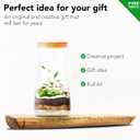 DIY Terrarium Kit for Plants Build a SelfSustaining Closed Ecosystem Supplies for Up to68 oz(12Liter) Succulents, AirPlants(Tillandsia), Fern Jar Not Included