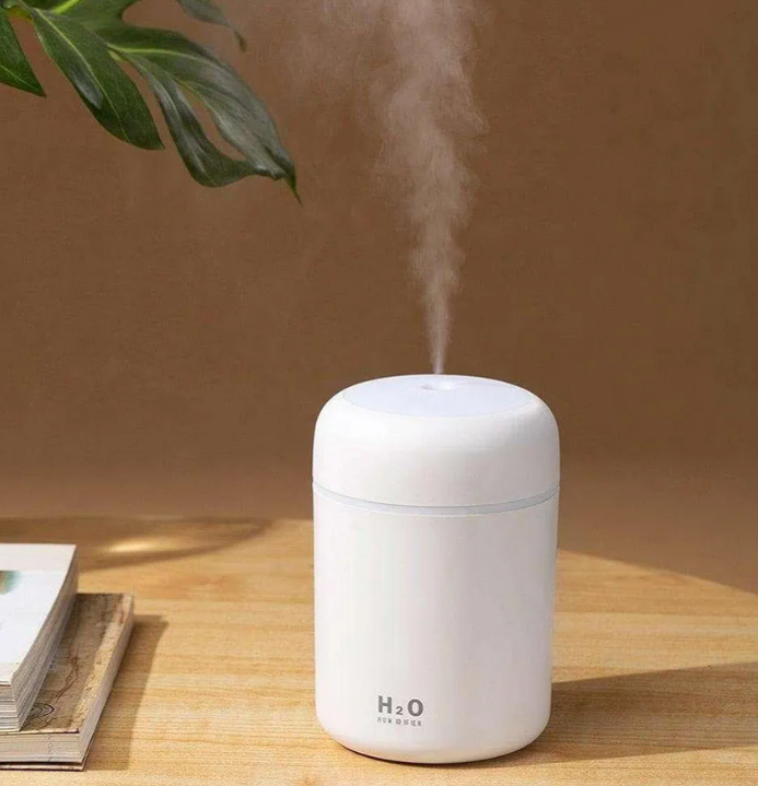 Portable Mini Humidifier, Colorful, Cool Mist, USB Powered. Perfect for Bedroom, Office & Car (300ml, White)