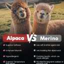 Alpaca Wool Unisex Winter Heavyweight Crew Socks Hiking Boot Warm Thick Thermal Cushioned Moisture Wicking (L)