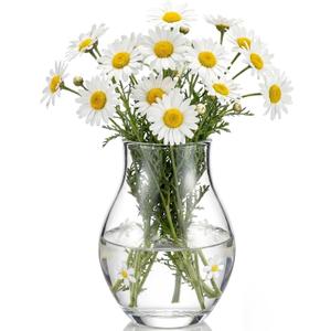1 Pcs Daisy Icon Glasses Flower Vase, Daisy Flower Vase for Centerpiece Living Room Kitchen Office Wedding Birthday Party Supplies Gift