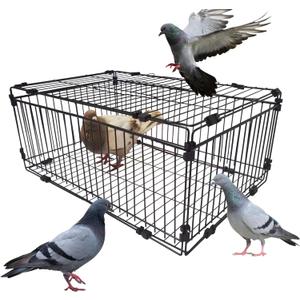 Bird Trap Cage Pigeon Quail Chicken Outdoor Trapping Live Small Bird Trap