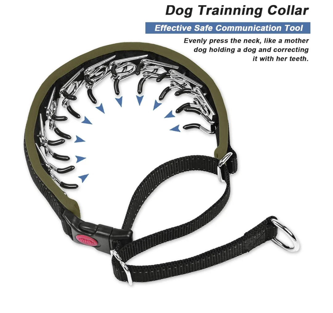 Collar for Dogs: Heavy Duty Nylon No Pull, Adjustable, Reflective, Slip Collar for Large, Medium or Small Dogs - Training, Walking - Army Green