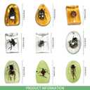 9 pcs Insect Amber Fossils, BOSOIRSOU Fossil Pendants, Different Insect Specimen, Bug Preserved in Resin, Educational and Scientific Amber Collections - Random Patterns