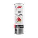 CELSIUS Sparkling Watermelon, Functional Essential Energy Drink 12 Fl Oz (Pack of 12) (EXP 08/01/25)