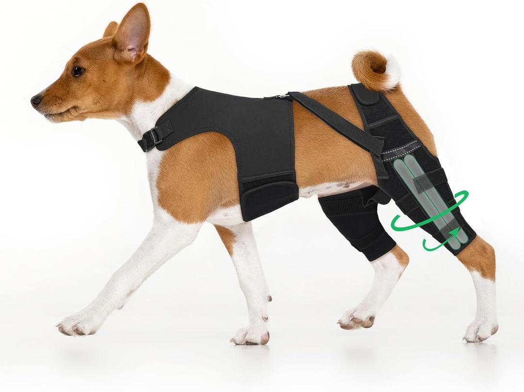 Dog Knee Brace for Back Leg, Hind Leg Support After Torn ACL CCL Surgery, with Reinforced Triangle Iron Connector,Stabilizer for Luxating Patella and Ligament, for Medium Large Dogs(L)