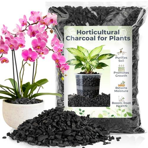 Sukh Horticultural Charcoal for Plants - 1Qt. Natural Earth Regulated Supplement for Potting Soil Indoor Plants, Organic Biochar, Succulent Soil, Paphiopedilum, Bonsai, Terrarium