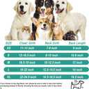 FEimaX Windproof Winter Warm Fleece Small Dog Coat, Soft Dog Fleece Jacket with Zipper for Medium, Cold Weather Sweater Apparel for Cats Boy Girl (Green)