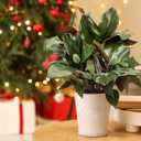 2 Pcs Magnolia Artificial Leaves Branches 32 Inch 3D Real Touch Pick with Fruit Faux Magnolia Stems Fake Twigs for Indoor Outdoor Vase Home Wedding Floral Arrangement Decoration