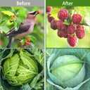 Garden Netting 10x50FT 2 Pack Ultra Fine Mesh, Insect Barrier Bird Netting for Garden Protection, Insect Bug Netting Garden Net for Protecting Plants Vegetables Flowers Fruits