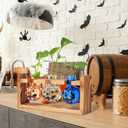 Mimorou Plant Propagation Stations Plant Terrarium with Wooden Stand Hydroponics Glass Vase Planter for Home Office Garden Table Decoration(Pumpkin)