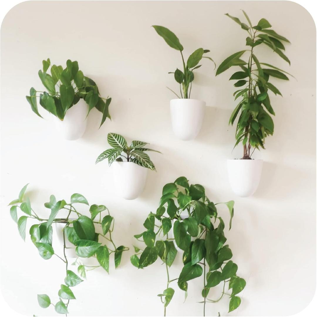 Make Good PlantPod Luxe - Self-Watering Wall Planters (Set of 6) - Easy to Water and Install - Lightweight - Design Your Own Vertical Garden - Wall Planters for Indoor Plants (White)