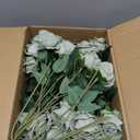 50 PCS Green Roses Artificial Flowers, Fake Roses with Stem Realistic Silk Roses for DIY Wedding Bouquets Tables Centerpieces Arrangements Baby Shower Birthday Home Decor Valentine's Day Gift for Her
