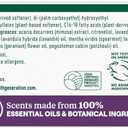 Seventh Generation Dryer Sheets Fabric Softener Fresh Lavender Scent with 100% Essential Oils and Botanical Ingredients 80 Sheets (Pack of 4)
