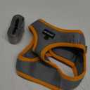 FAYOGOO Cat Harness, Cat Leash and Harness Set for Walking Escape Proof, Harness for Small Cats/Small Dogs, Large Kitten/Puppy Harness and Leash, Harness for Cats (Gray, XX-Large) (XXL(Chest 16-18''))