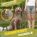 Fida Durable Slip Lead Dog Leash, 6 FT x 3/8" Heavy Duty Comfortable Strong Rope Slip Lead for Small Dogs and Puppies, No Pull Pet Training Leash with Highly Reflective(3/8", Grey)
