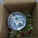 Ganz Kissing Krystals Small Red Mecury Glass Hurrican Candle Holder and Mistletoe Set