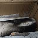 QuliMetal 7PCS Ceramic Birch Gas Fireplace Log  Realistic White Birch Logs for Indoor and Outdoor Fireplaces & Fire Pits, Ventless, Propane, Natural Gas, Electric, Gel  Decorative Ceramic Logs Set