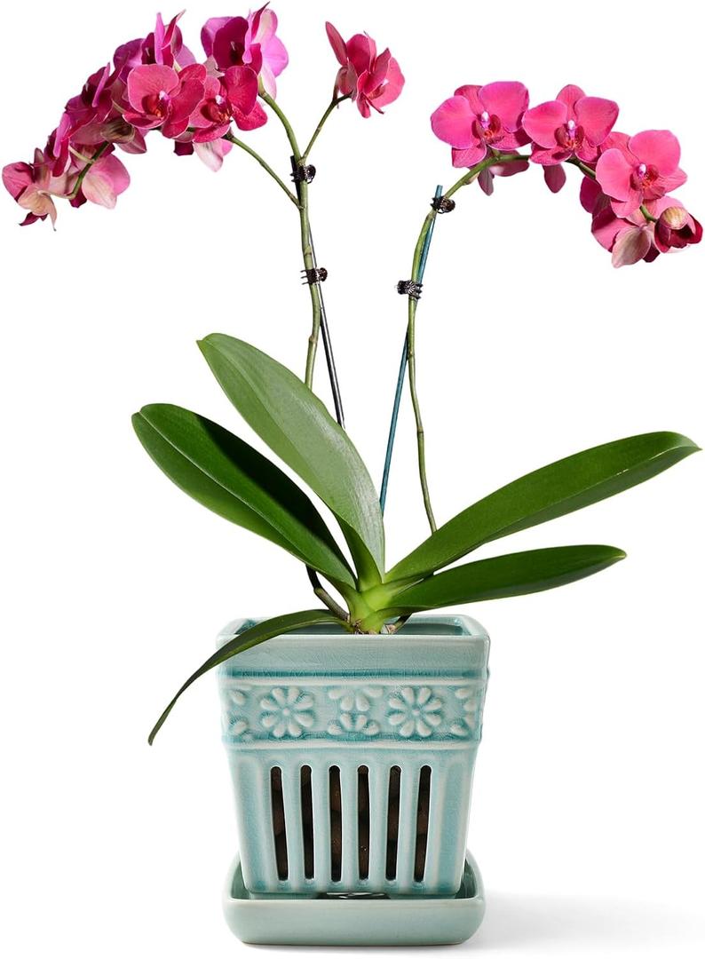 SUADEN Orchid Pots with Holes | 5" Ceramic Orchid Planter with Separate Saucer and Drainage Holes | Crackle Glazed Pottery Small Flower Pot for Repotting Orchids（Blue）