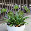 Artificial Flowers Plants for Outdoor Planters 8 Bundles Purple Flower Large Spring Summer 18.9 in Look Real Plasic Plant for Front Porch