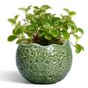 Thirtypot Ceramic Plant Pots - 4 inch Plant Pot with Drainage Hole, Small Pots for Plants Indoor Outdoor, Unique Round Planter, Modern Decorative Flower Pot, Room Decor, House Warming Gifts, Green