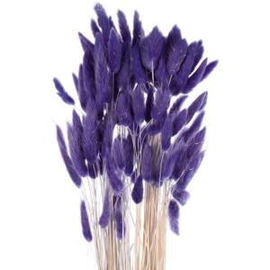 MECCANIXITY 120pcs Natural Rabbit Bunny Tails Dried Flowers 24" Mini Pampas Grass Lagurus Ovatus Bunch for Floral Wedding Decor Christmas, Dark Purple MECCANIXITY 120pcs Natural Rabbit Bunny Tails Dried Flowers 24" Mini Pampas Grass Lagurus Ovatus Bunch for Floral Wedding Decor Christmas, Dark Purple