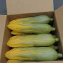 Taiyin 16 Pcs Plastic Artificial Corn Lifelike Corn Cob Fake Realistic Vegetable Stalks Simulation Vegetable Decorations Imitation Maize Decoration for Photo Prop, Green, Yellow