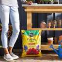 Miracle-Gro Potting Mix - For Container Plants, Flowers, Vegetables, Shrubs, Annuals, Perennials, Potting Soil Mix, Feeds up to 6 Months, 16 qt. (2-Pack) (EXP 06/20/29)