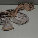 Women Sexy Bodycon Jumpsuit - See Through Mesh One Piece Party Club Outfit Summer Print Body Suit Backless Pantsuit (Large, Snakeskin)