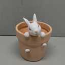 Easter - Spring Flower Pot - Bunny Decor - Easter Decoration - Decorative Garden Pots for Cactus Succulents Planter with Drainage Hole for Home Farmhouse Decor 5.75 x 5 x 7.25 inch Newman House Studio