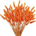 120pcs Dried Rabbit Tail Flowers Orange Tail Dried Flowers Pampas Grass Natural Dried Flower Arrangement Autumn Decoration Wedding DIY Farmhouse Christmas Halloween Family Table Decoration