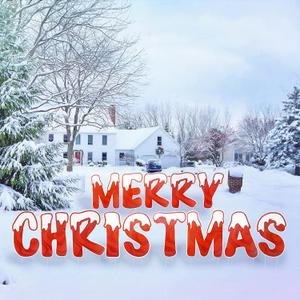 Merry Christmas Yard Signs 16" Weather Resistant with Stakes | Christmas Outdoor Decoration Lawn Signs Set of Large Letter Boards 14 Pcs | Decoracion de Navidad