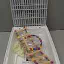 Basic Bird Cage, 24.8inch Parrot Cage (24.8" x 14.6" x 11"),Bird Cage with Ladder, Horizontal Bar, 2 Feeders, and Swing